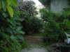 Photo Number 3