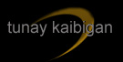 logoblack.jpg (6065 bytes)