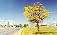 Conhe�a o Brasil - portugu�s e English (Link)