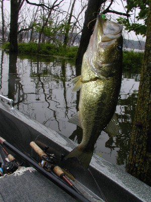 P5170034_2.JPG