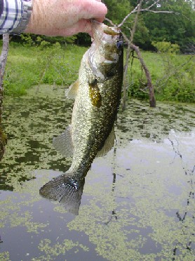 P5170039_2.JPG