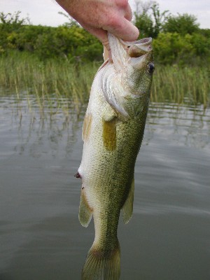 P7190043_2.JPG
