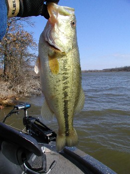 P3290016_2.JPG