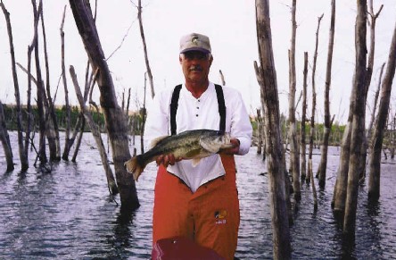 P3_TerryT_Norton.jpg