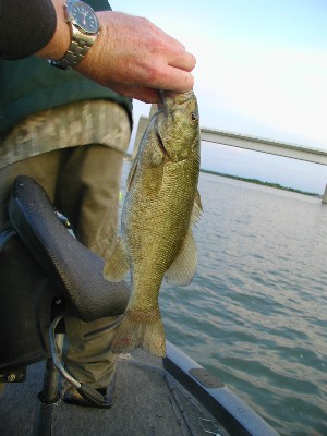 P6070001_2.JPG