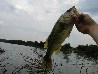 P7190037_2.JPG