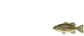 basshook_1.gif