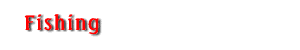 catchandreleasebanner.gif