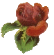 D.A.