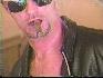Image of WT_BIGBRU4.jpg