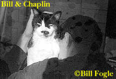 bill_and_chaplin-1�bill_fogle.jpg (6265 bytes)