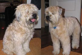 Before and after picture 3