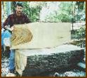 Camphor Laurel Slab