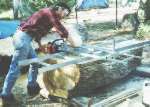Slabbing Camhor Laurel Logs