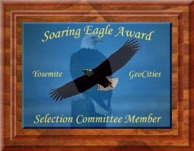 Soaring Eagle Selection Committee Member