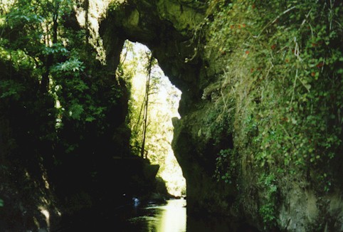 Mangapohue Natural Bridge