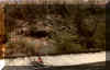 corsaglia9.jpg (22140 byte)