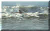 mare1.jpg (22019 byte)
