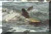 mare.jpg (29397 byte)