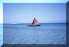 sardegna2.jpg (16964 byte)