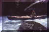 sesia5.jpg (22232 byte)