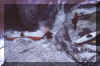 sorba1.jpg (30178 byte)