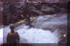 sorba2.jpg (22904 byte)
