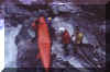 sorba.jpg (29008 byte)