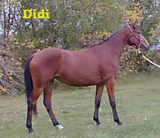 Didi