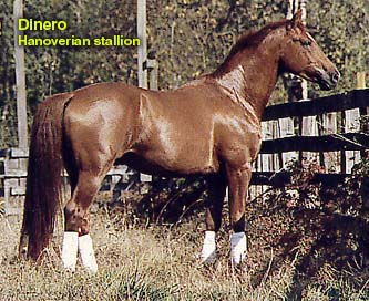 Dinero 9Han)