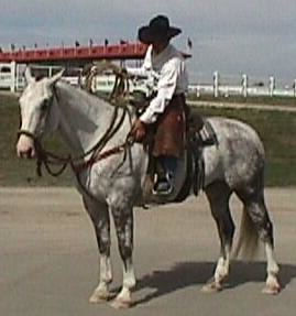 Hondo