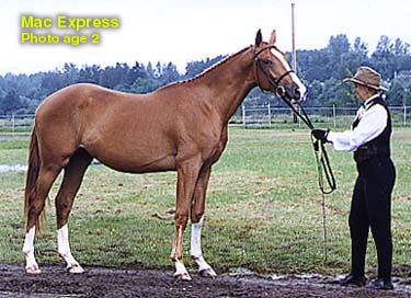 mac express