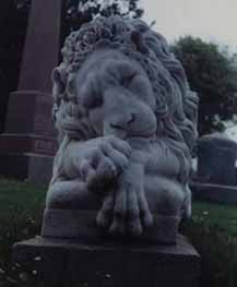 the cowardly lion