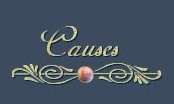Page title: Causes I support
