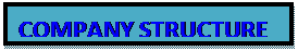Text Box: COMPANY STRUCTURE