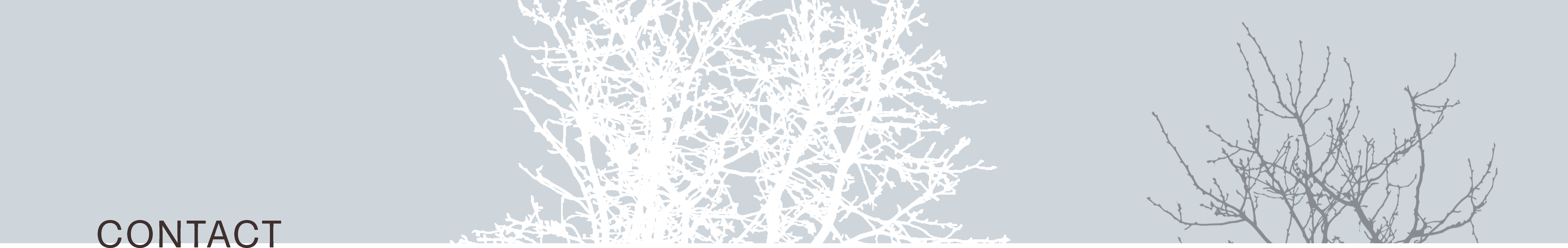 top contact banner