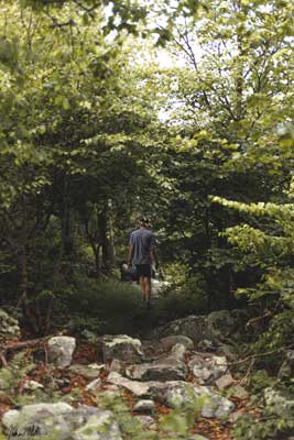 Walk