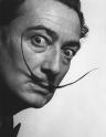 Picture of
Salvador Dali
