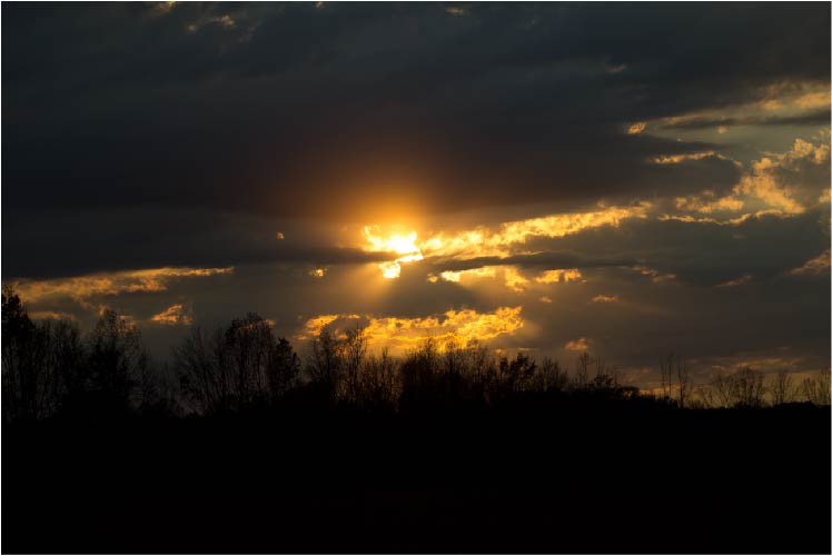 Majestic Sunset