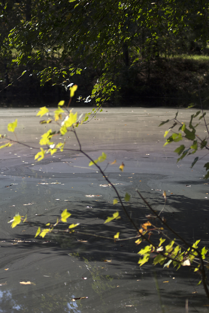 Rainbow Pond