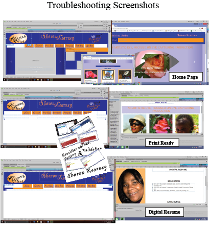 Web Trouble Shooting
