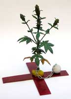 Marihuana Carcelaria