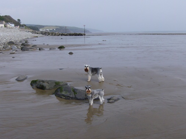 On the beach!