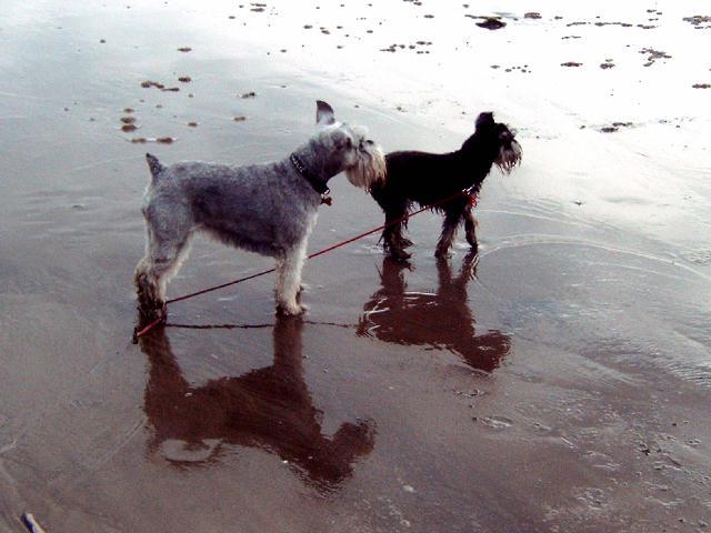 on the windy beach
