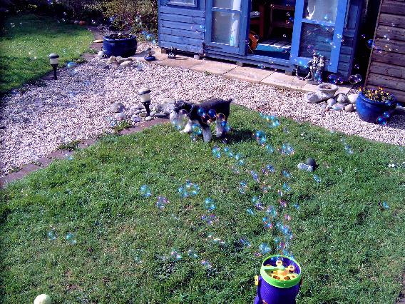 Forever blowing bubbles