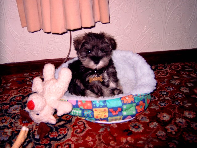 Edie
