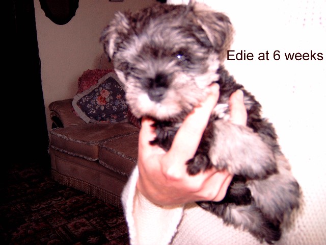 Edie