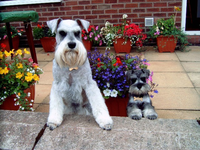 Me and Edie