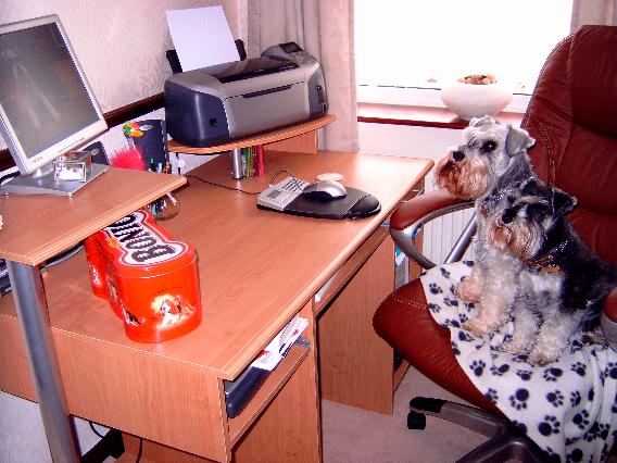Hard at work