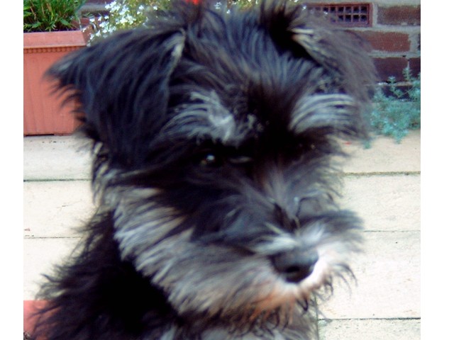 Our new friend Roxxi
